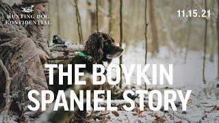 Boykin Spaniel History - Turkey Hunting with a Dog