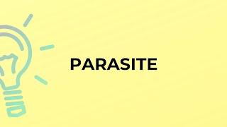 What is the meaning of the word PARASITE?