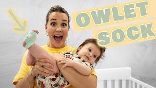 Owlet Sock Review | Do You Need The Owlet Sock