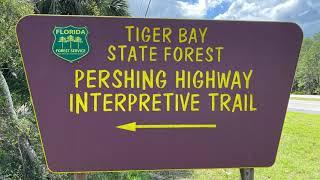 Tiger Bay State Forest, Daytona Beach, Florida