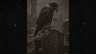 [FREE FOR PROFIT No Tags] Dark Trap Type Beat - "Raven" | Hard Rap Instrumental 2024