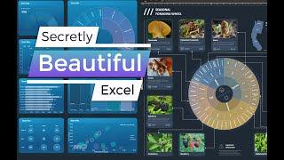 Secretly Beautiful: Excel - uncovering Excel's powerful design features