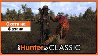 Охота на Фазана в theHunter Classic !