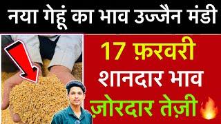 Ujjain Mandi Gehu Ka Bhav | Wheat Price Today | Ujjain Mandi Bhav Today | 17 February 2025