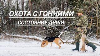 Охота на зайца с гончими.Отличный день