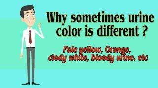 Why Urine colour is diffrent..?