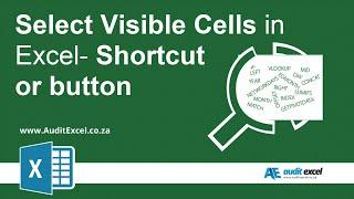 Select Visible cells shortcut and button