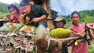 First time  trying Nagaland wild mushroom with Roving naga in nagaland