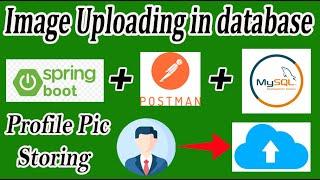 Image Uploading || Profile Picture uploading using Postman & MySQL in Spring Boot