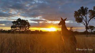 Gentle Relaxing Meditation Music • Beautiful Nature Australia, Instant Calm (Amazing Australia)  84