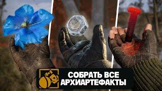 ГДЕ НАЙТИ ВСЕ АРХИАРТЕФАКТЫ | S.T.A.L.K.E.R. 2