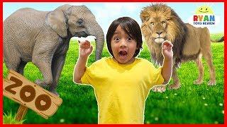 Learn zoo animals names for kids | Educational video for children with Ryan ToysReview