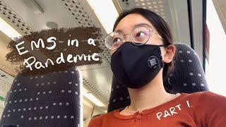 Day in the life of a vet student on placement (in a pandemic) | Cambridge Uni vet student vlog #10