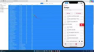 How To Delete & Clean up All Songs in Your iTunes Music Library & iPhone Music Library With Computer