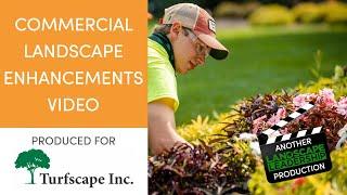 Commercial Landscape Enhancements Video: Turfscape