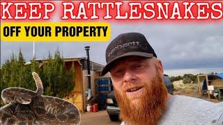 How to keep RATTLESNAKES off your Homestead | Rattlesnake
