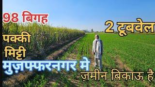 muzaffarnagar property dealer 98 bigah zameen बिकाऊ है @vikrantpanwar6551 #viralvideo #kisan