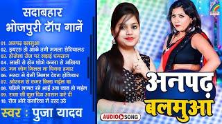 भोजपुरी टॉप10 हिट्स पूजा यादव | Pooja Yadav | Bhojpuri Nonstop Songs | Rangoli Film A To Z