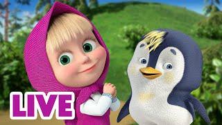  LIVE STREAM  Masha and the Bear  Good Intentions 