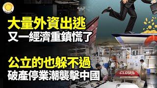 【財經】大量外資持續出逃 經濟重鎮陷入恐慌；公立機構難倖免 破產停業潮襲中國；上海也出問題了；車市價格戰失控 11月損失高達1776億；波司登價格翻天 3克鵝絨引發熱議【阿波羅網WP】