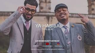 [FREE] Dystinct x L'artiste x Naza Afro Reggaeton Type Beat " Ya Habiba"