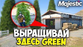 ВЫРАЩИВАЙ ЗДЕСЬ GREEN на MAJESTIC RP GTA 5 - СЕМЕНА ГРИН МАДЖЕСТИК РП