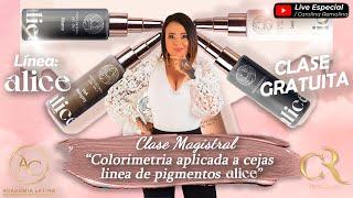 "COLORIMETRIA APLICADA A CEJAS LÍNEA DE PIGMENTOS ALICE"  | CURSO GRATUITO #colorimetria #pmu