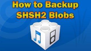 How to Backup iPhone, iPod touch or iPad SHSH2 Blobs for Future Unsigned iOS Downgrade/Upgrade