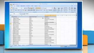 How to use 'Filter' in Excel