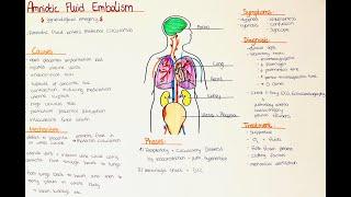 Amniotic Fluid Embolism - Causes, Symptoms, Diagnosis, Phases, Mechanism, Treatment