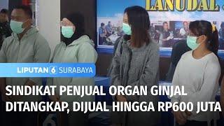 Dijual hingga Rp600 Juta, Sindikat Penjual Organ Ginjal Ditangkap | Liputan 6 Surabaya