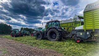 Zbiór Trawy Fendty w Akcji Sianokiszonka 2024 2x CLAAS QUANTUM 6800,Fendt Vario 714/716/916/926