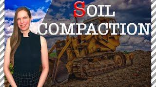 Soil Compaction: 6 Things You Should Know