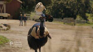 Farmer | LiMu Emu & Doug | Liberty Mutual Insurance Commercial