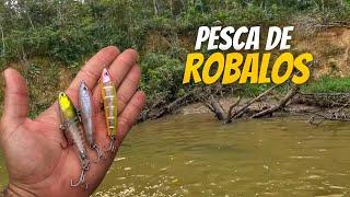 Pesca de ROBALOS nas GALHADAS | SÓ ISCA ARTIFICIAL