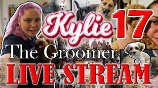 Kylie the Groomer Live stream 17.