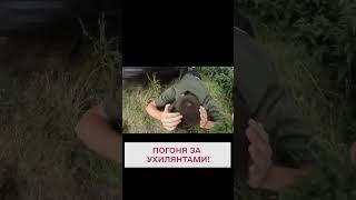 Стільки заплатили і "приїхали"! На Буковині "подорож" ухилянтів-утікачів завершилася затриманням!