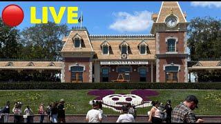  LIVE: Disneyland Rides, Food, California Adventure and Fun Merchandise January 2024