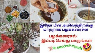 இதோ மீன் அமிலத்திற்க்கு மாற்றாக சத்து மிகுந்த பழக்கரைசல் .how to prepare fruit liquid fertilizer 