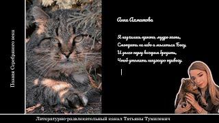  Анна Ахматова "Я научилась просто, мудро жить..." Стихи читает Таня Тумилевич.