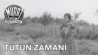 Tütün Zamanı (Yılmaz Güney) | FULL