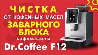 Чистка от кофейных масел заварного блока кофемашины Dr.Coffe F12