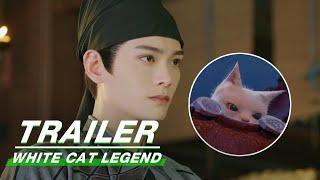 White Cat Legend Trailer:The story of Cat Detective | 大理寺少卿游 | iQIYI