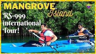 Mangrove Island I Kayaking I Paravur Mangrove Forest I Mangrove Village I കണ്ടൽ കാട് I Kollam Tour