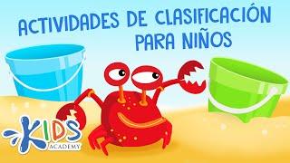 Actividades de Clasificación para Niños de Preescolar | Kids Academy Español
