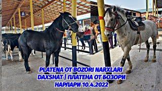 10 / 4 / 2022 PLATENA OT BOZORI NARXLARIDAXSHAT | ПЛАТЕНА ОТ БОЗОРИ НАРЛАРИ @Xiloliddin_uz