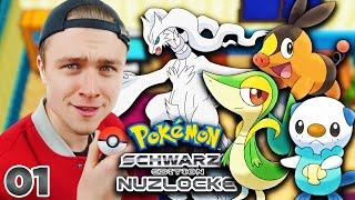 Auf geht's in ein NEUES Abenteuer!  Pokémon Schwarz Nuzlocke #1