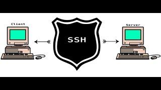 Установка и настройка SSH в операционной системе Debian 10.