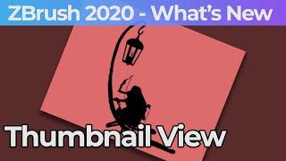 008 Zbrush 2020 Thumbnail View