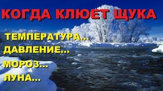 Доказано В КАКУЮ погоду ЛУЧШЕ КЛЮЁТ ЩУКА зимой и при каком ДАВЛЕНИИ! SeMano TV